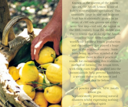 Amalfi Lemon Gin 70CL / 37.5%ABV